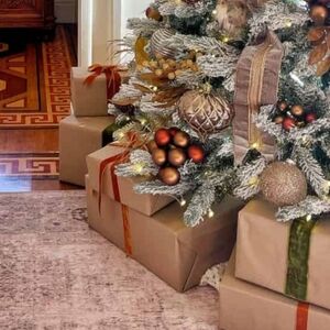 Christmas Sale! 24 Hour Shipping! Accepting low offers